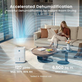 Kesnos 120 Pints Energy Star Dehumidifier for Home & Basement with Drain Hose, Front LED Display and 1.06 Gal Water Tank, Ideal for Spaces up to 6,500 Sq. Ft., Featuring Auto Defrost & Timer