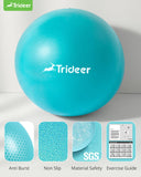 Trideer Pilates Ball 9 Inch with Pump, Exercise Balls Physical Therapy, Physical Therapy Equipment, Small Exercise Ball Between Knees, Small Pilates Ball for Yoga, Core, Office&Home Gym Trideer