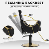 Barber Chair, Salon Chair for Hair Stylist, Height Adjustable Hydraulic Hair LOUVIXA