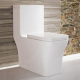 Toilet Dual Flush 1.1/1.6 gpf with 10" Rough In Swiss Madison