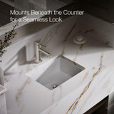 KOHLER Verticyl 17" Undermount Bathroom Vanity Sink With Overflow Drain, Undermount Bathroom Sink, White