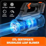 SENIX 20V Max Leaf Blower, Cordless, Brushless, Handheld, Up to 450 CFM and 100 MPH, 2 Speed Mode, Cruise Control, Lightweight, 5.0 Ah Battery and Charger Included (BLAX2-M3)