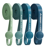 WHATAFIT Resistance Bands,Pull Up Assist Bands Set with Handles, Exercise & Workout Bands with Door Anchor for Men & Women – Home Fitness Equipment for Strength Training, Stretching