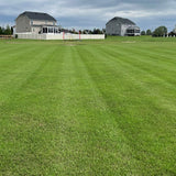Outsidepride Maya (Blackjack II) Bermuda Grass Seed - 50 lbs Warm Season, Drought Tolerant, Fast Growing, Fine-Textured Bermuda Grass Seeds for Lawn, Parks, Golf Courses & Sports Fields