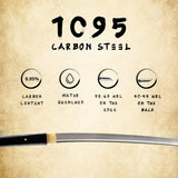 Hand Forged 1095 High Carbon Steel Black Shirasaya Katana Full Tang Sword