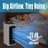 SAYDSI Electric 2-in-1 Cooling Tower Fan & Heater Combo used in Summer and Winter for Bedroom Home Office Large Room with Ice Packs,Water Tank,Timer(White)