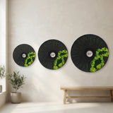 Round Moss Wall Art Set of 3 Preserved Moss Decor Natural Wooden Wall Decor for Living Room Office Home Zero Maintenance Botanical Art