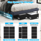 Under Bed Storage with Wheels, 2-Pack 10" Height XXL 75L Rolling Storage Bins, Quick Assembly Underbed Shoe Storage Containers with Clear Lid & Label, Dorm Under Bed Drawers for Clothes, Shoes, Black