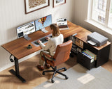 Executive Sit Stand Desk, Height Adjustable Computer Desk for Home Office, Writing, Workstation