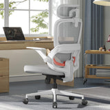 SIHOO B100 SE Ergonomic Office Chair, Desk Chair with Lumbar Support