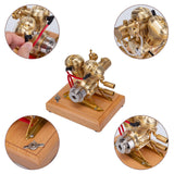 Engine Model Kit That Runs, Mini OHV V-Twin Double-Cylinder Four-Stroke Engine Model for Motorcycle, Physics Science Experiment for Adult