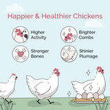 Mile Four Organic Chicken Grower Pellet Feed Kit + Grit + Oyster Shell