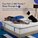 REJUSLEEP Full Size Mattress 12 Inch with Zoned Support, Medium Feel, Reinforced Edge Coils & Pressure-Relief Foam, Fiberglass-Free, CertiPUR-US Certified (12 Inch, Full (U.S. Standard))