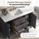 DELUXE LIVING 48 Inch Bathroom Vanity with Sink, Fully Assembled, Deep Grey