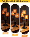 Lightdot Modern Glass Table Lamp Dimmable Mid Century 3-Light Black Desk Lamp with Rose Red Glass Shade& Bulb Included 3000K Warmwhite Nightstand Lamp for Bedroom Bedside End Table