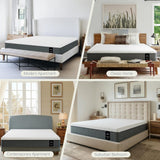 Lunarflex 12" Queen Memory Foam Mattress in a Box, 100 Night Sleep Trial