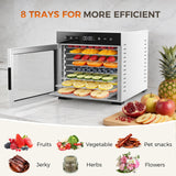 OLIXIS Food Dehydrator Machine, 500W Jerky Dehydrators with 8 Stainless Steel Large Trays, 185°F Temperature Control & 24H Timer Food Dryer for Fruit Meat Herb Dog Treats, Silver