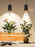 Vellina Retractable Hanging Grow Light, Adjustable Beam (10°-55°), 35W Full Spectrum LED Plant Light with Timer, CRI 98+ Pendant Lamp for Monstera, Fiddle Leaf Fig & Large Indoor Plants