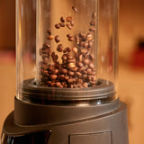 MAGO MAGA Roma Pro Smart Home Coffee Bean Roaster, 120V