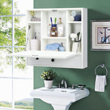 Wall-Mounted Computer Desk, Floating Desk with Storage Drawer & Shelves