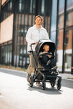 Thule Sleek 2 Convertible Baby & Toddler Stroller
