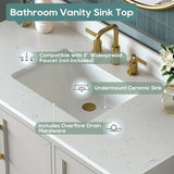 DELUXE LIVING 42 Inch Bathroom Vanity with Sink Combo, Solid Wood Frame with Stone Top & Backsplash, Fully-Assembled with Soft-Closing Doors & 4 Drawers, Greige