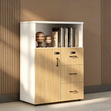 File Cabinet with Password Lock, Wood Lateral Filing Cabinet for Letter/A4 Files, 3 Drawer with Door