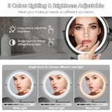 Rocollos Rechargeable Wall Mounted Lighted Makeup Mirror, 8 Inch Double-Sided LED Vanity Mirror 1X/10X Magnification,3 Color Lights Touch Screen Dimmable 360°Swivel 13 Inch Extendable