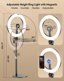Upgrade 10.5" Ring Light for Desk with Magnetic Phone Holder for Computer