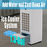 SAYDSI Electric 2-in-1 Cooling Tower Fan & Heater Combo used in Summer and Winter for Bedroom Home Office Large Room with Ice Packs,Water Tank,Timer(White)