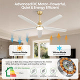 60 Inch White Ceiling Fan with Light, Gold Brass Finish,5 Solid Wood Blades