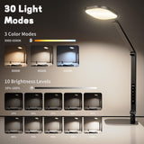 LitONES LED Desk Lamp for Home Office, Eye-Caring Diffused Desk Light, 3 Color Temperature 10 Brightness Computer Light, Dimmable Desk Light with Memory & Timer Func, Metal Swing Arm Table Lamp