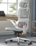 SIHOO B100 SE Ergonomic Office Chair, Desk Chair with Lumbar Support