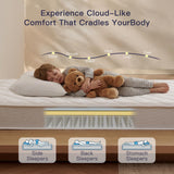 Profus Twin Mattress for Kids, 6 Inch Twin Mattress with Pocket Coils, Memory Foam Mattress for All Night Sleep & Pressure Relief, Certified Safe Foams & Fabric, Fiberglass Free Mattress in A Box