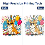 Qilpho A4 DTF Printer Complete Bundle with Curing Oven & Laptop