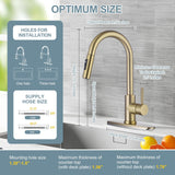 TOYWIA Gold Kitchen Faucets with Pull Down Sprayer, Single Handle High Arc Modern Stainless Steel Sink Faucet with Deck Plate, 1 or 3 Hole Deck Mount for RV, Bar, Farmhouse, Laundry, Outdoor
