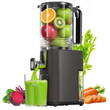 Cold Press Juicer, 5.5inch Wide Feed Chute Juicer Machine, Slow Masticating Juicer for Whole Vegetables & Fruits, Gray