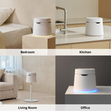Carepod One Plus Stainless Steel Humidifier for Large Room with Mood Light, Quiet & Safe for Baby, Only 3 Washable Parts, Easy to Clean Ultrasonic Cool Mist Humidifiers for Bedroom for 30Hrs (1Gal/4L)