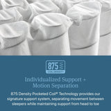 Beautyrest Prime Dream Medium 12.5" Mattress - Twin - Durable Pocketed Coil, Support, Pressure Relief, Cooling, Motion Separation; 100 Night Sleep Trial and 10 Year Warranty