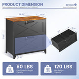LISSIMO 2-Drawer Farmhouse File Cabinet with Lock, Lateral Filing Cabinet for Letter/Legal/A4 Size, Wood File Storage Cabinets Printer Stand with Large Storage for Home Office School, Black