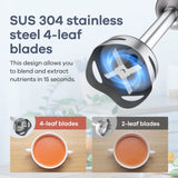 5 in 1 Hand Blender Max 1000W Heavy Duty Motor, 16 Speed Mode Handheld Blender Ganiza