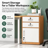 2 Drawer File Cabinet with Lock, Metal Filing Cabinet Document Organizer