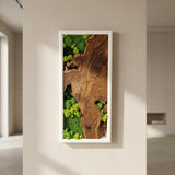 White Framed Moss Wall Art, Vertical Cedar Wood & Preserved Greenery Modern Natural Wall Decor for Living Room, Office & Home, Zero Maintenance Handcrafted Gift 47" x 16"