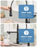 AIMADI Black Kitchen Faucet with Pull Down Sprayer,Stainless Steel Spring Kitchen Sink Faucet with Soap Dispenser,Modern Single Handle Faucets for Farmhouse,Camper,Laundry,RV,1or 3 Hole