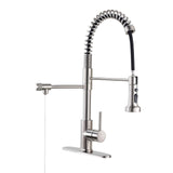 PAKING Kitchen Sink Faucet, Pull-Down Water Filtration Faucet, Bar Filter, Brushed Nickel, Stainless Steel, PB1017