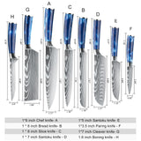 Dfito Chef Knife Sets with Roll Bag, 9 Pieces Professional Knife Set, High Carbon Stainless Steel Kitchen Chef Knife Set, Blue Resin Handle, Dishwasher Safe