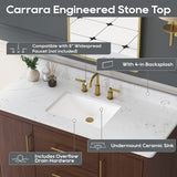 DELUXE LIVING 48 Inch Bathroom Vanity with Sink, Fully-Assembled, Warm Elm