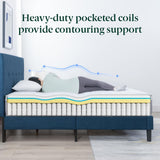 Zinus 12 Inch Queen Cool Support Hybrid Mattress, Medium Firm Feel
