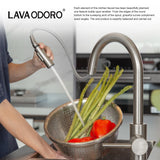 Lava Odoro Brushed Nickel Kitchen Faucet with Pull Down Sprayer, Modern Kitchen Sink Faucet Single Hole Faucet for Kitchen Sink with 2-Function Spray Head, KF1120-BN