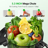 Aeitto Juicer Machines, 5.3" Extra Wide Mouth, Cold Press Juicer, Easy to Clean, Fit Whole Vegetables & Fruits, Professional Juice Extractor Machine,Self Feeding, High Juice Yield
